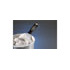 Hyde Tools 06870 MAXXGRIP PRO® Flexible HH Joint Knife, 6”